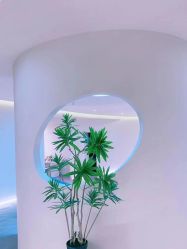 -VE专注问题肌·赛诺龙&科学美肤中心