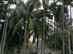 -红色娘子军纪念园