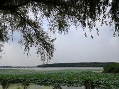 -丁香湖公园