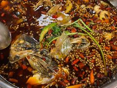 -味之绝热血美蛙鱼火锅(中坝店)