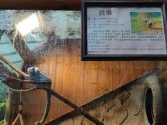 -上海大自然野生昆虫馆(东方明珠·爬宠昆虫探索中心)