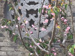-天朝元辅-徐州民俗博物馆