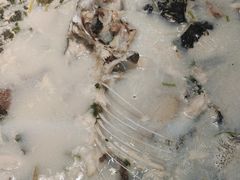 -香山湖渔家大院