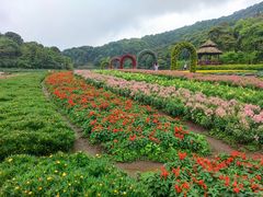 -广州市石门国家森林公园