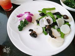 -云中小雅