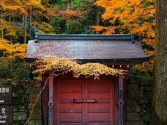 -三千院