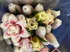 -三圣花乡旅游区