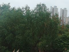 -金鸡岭桥头公园