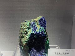 -湖南省地质博物馆