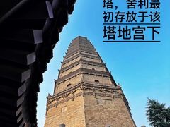 -法门文化景区-合十舍利塔