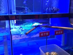 -小龍鳳·港式海鲜打边炉(沙湖路店)