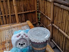-蓉小乔·RONG COFFEE(春熙路店)