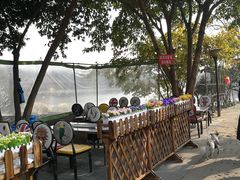 -三圣花乡旅游区