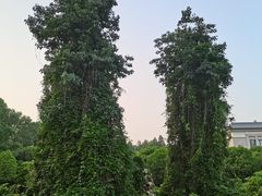 -河南省黄河迎宾馆