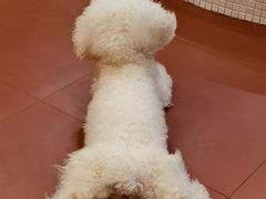 -和它·交个朋友·狗咖猫咖(爱琴海店)