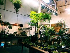 大堂-植觉