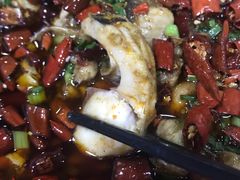 来凤鱼-东吴霸王兔(松青路店)