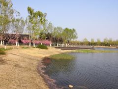 -永定河休闲森林公园