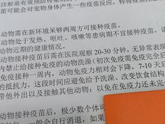 -佳怡动物医院·平价24小时·猫专科骨外科