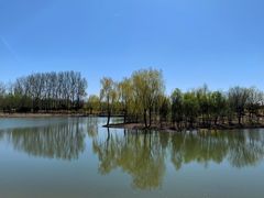 -东郊湿地公园