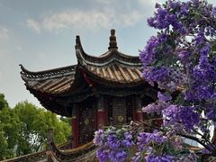 -翠湖公园