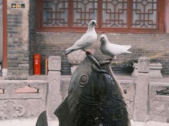 -西安大兴善寺