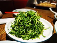 酒香豆苗-老头儿油爆虾·三潭印月