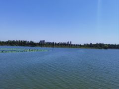-金银湖国家城市湿地公园
