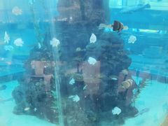 -鸿通城购物中心