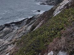 -西涌国际滨海旅游区