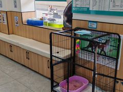 -瑞派长江宠物医院·猫科·外科·24小时夜护(谊城公寓分院)
