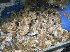 -雅逸居海鲜小厨