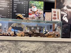 -PAPER STONE BAKERY(天汇广场店)