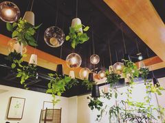 -柴务处·柴犬主题狗咖