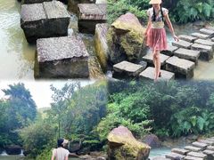 -广州白江湖森林公园