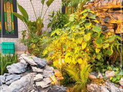 -粥旺庄(芳村店)