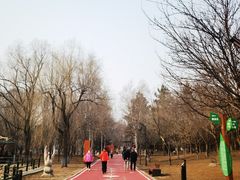 -黛秀湖公园