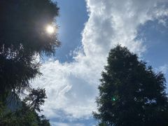 -重庆睡佛山森林公园