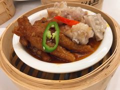 鼓汁蒸凤爪-春满园·早茶·粤菜·宴会(喜宴店)