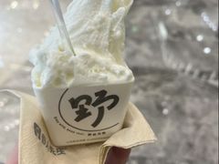 -野人先生现做冰淇淋(深圳壹方城店)