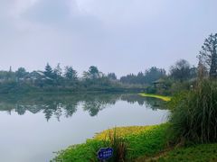 -桤木河湿地公园