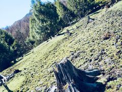 -硗碛藏寨·神木垒景区