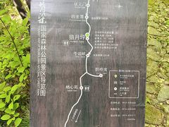 -牛背梁国家森林公园