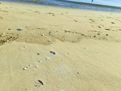-银滩滨海旅游度假区