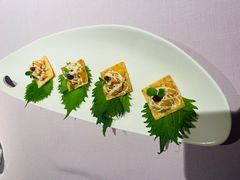 -梧桐