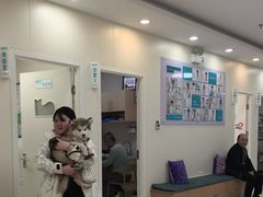 -美联众合动物医院·24h京西诊疗中心