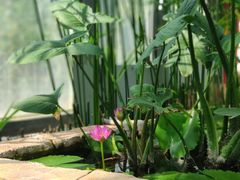 -国家植物园南园