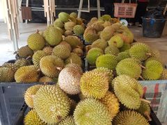 -都念榴莲·城市榴莲