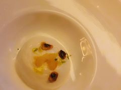 -迪拜帆船酒店海底餐厅