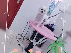 -艾贝尔宠物医院·狂犬免疫点(江山金象城店)